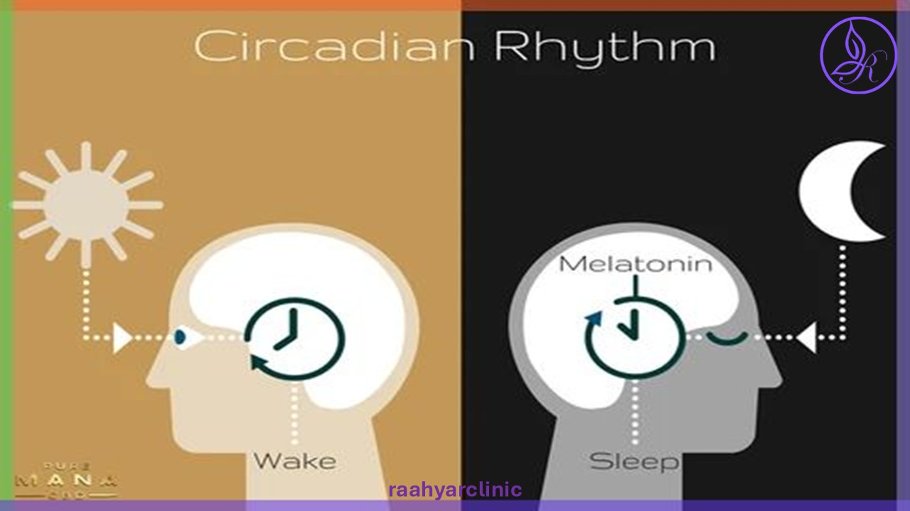 chronotype